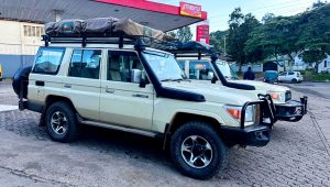 4x4-land-cruisers-with-rooftop-tent