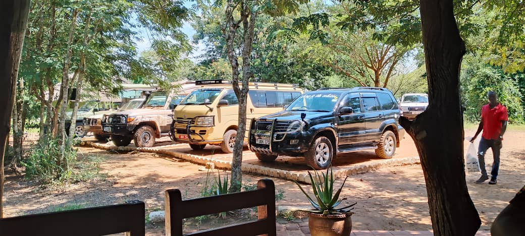Best Time for Self-drive Safari in Tanzania Best Time for Self-drive Safari in Tanzania