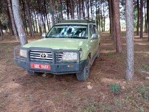 Self Drive Safaris in East Africa