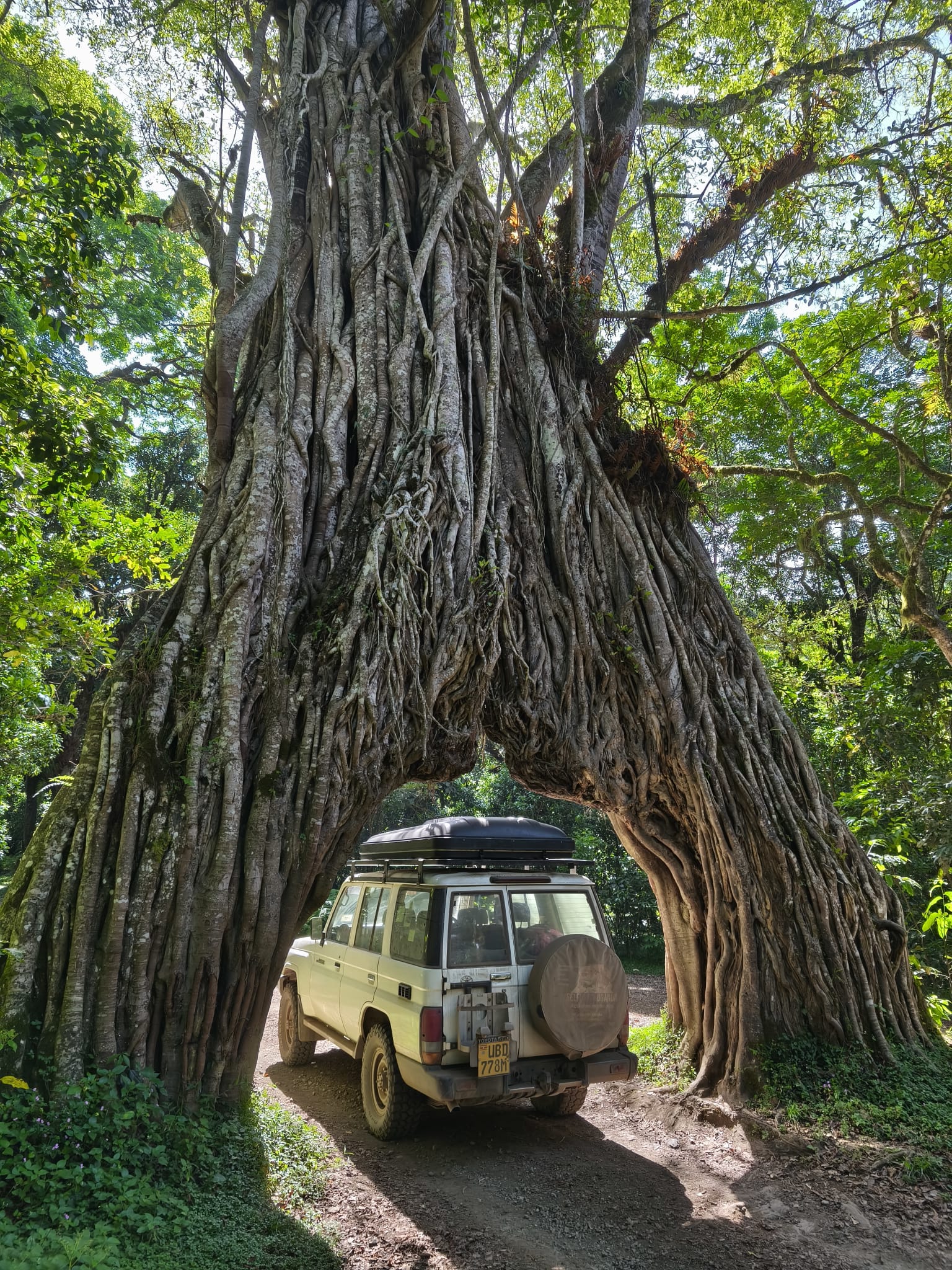 East Africa Car Hire Guide