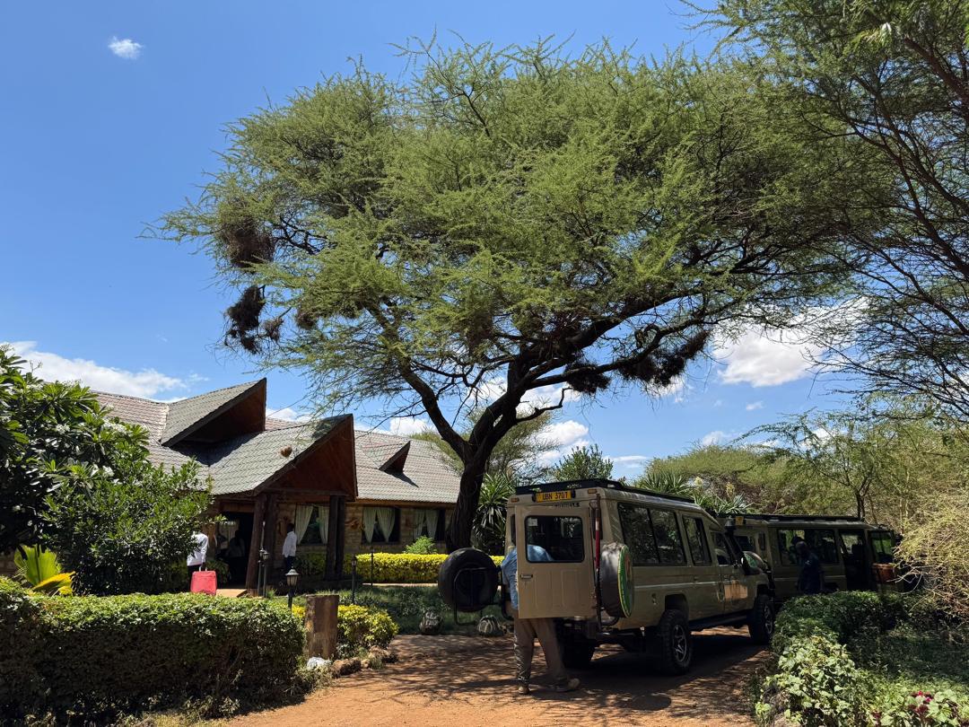 Top 10 Essential Tips for a Seamless Trip to Tanzania in 2026 Top 10 Essential Tips for a Seamless Trip to Tanzania in 2026