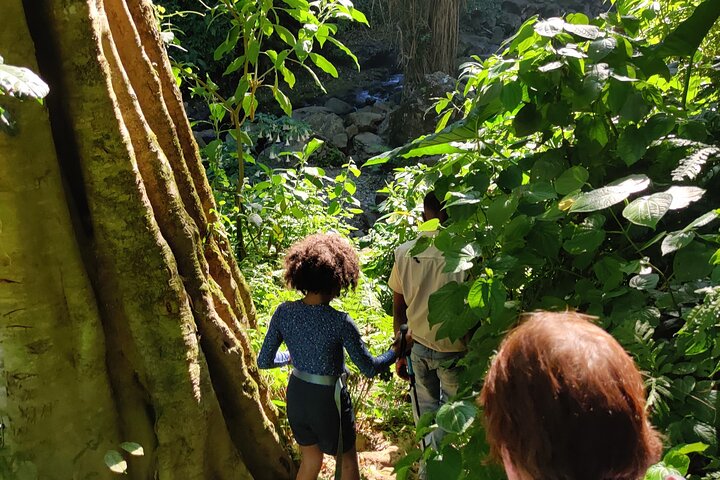 What You Must Know Before Planning Your Tanzania Safari