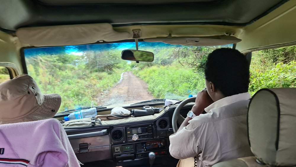 Ngorongoro to Serengeti
