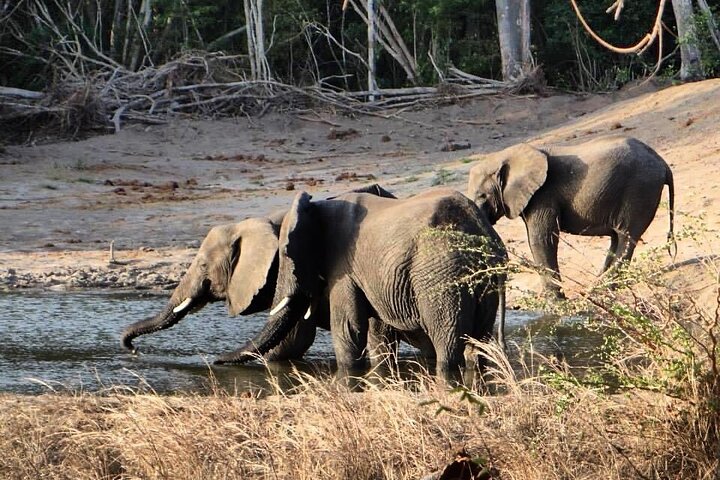 Saadani National Park