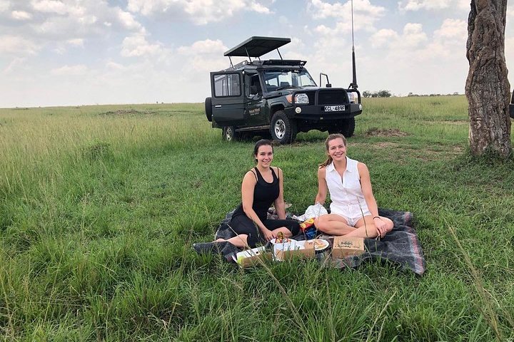 featuring 4x4 rental options, top national parks, travel tips, and everything you need for an unforgettable adventure.