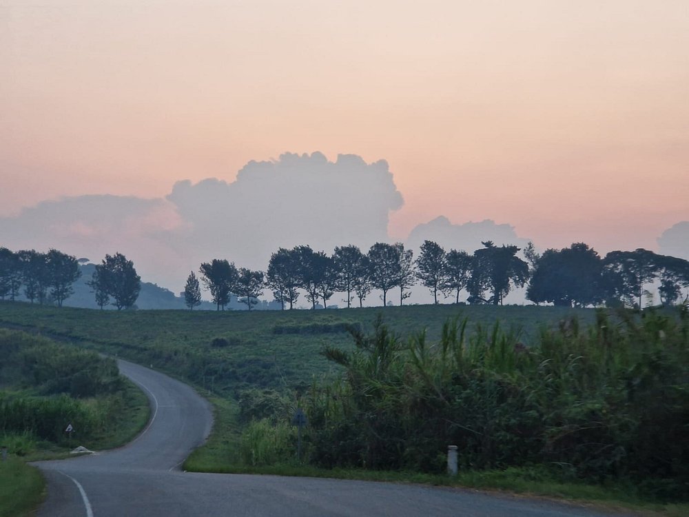 Road Conditions Serengeti