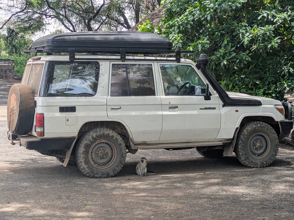 Self Drive Tanzania: Rental Requirements, Prices, and Tips